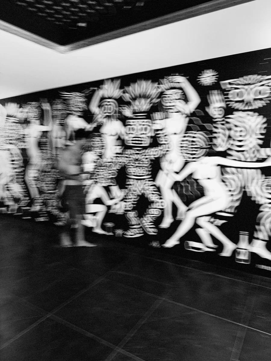 A projection of the artwork filling a thatched room
